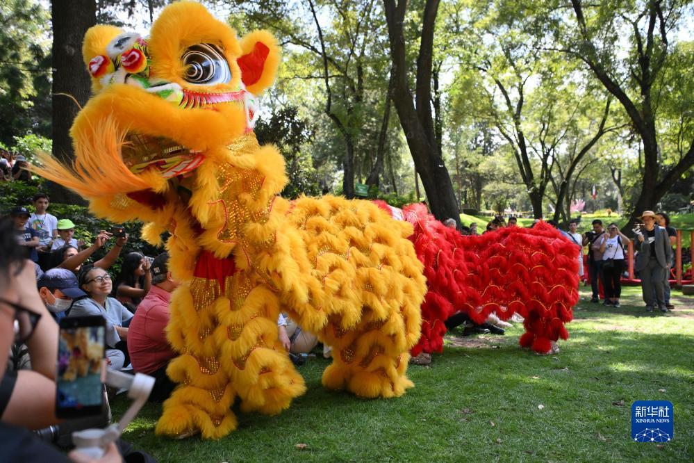 足球赛导航